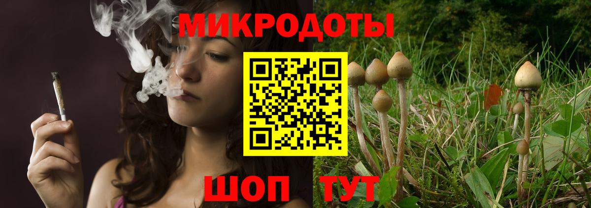 Псилоцибиновые грибы GOLDEN TEACHER  Галлюциногенные грибы Psilocybine cubensis  Уварово  Вход с VPN 